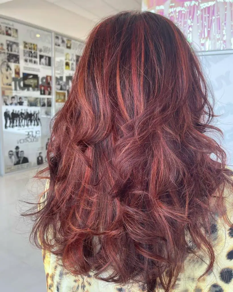 Top 30 Red Highlights On Black Hair Ideas (2023 Update) - Tattooed Martha